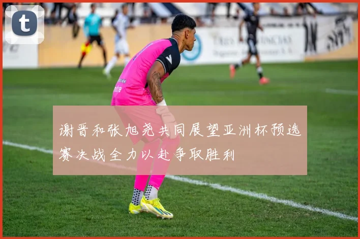 谢晋和张旭尧共同展望亚洲杯预选赛决战全力以赴争取胜利