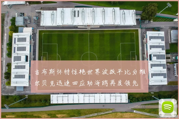 吉布斯怀特惊艳世界波扳平比分维尔贝克迅速回应助海鸥再度领先