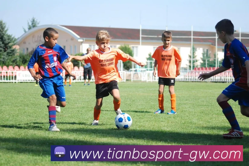 天博体育服务体系